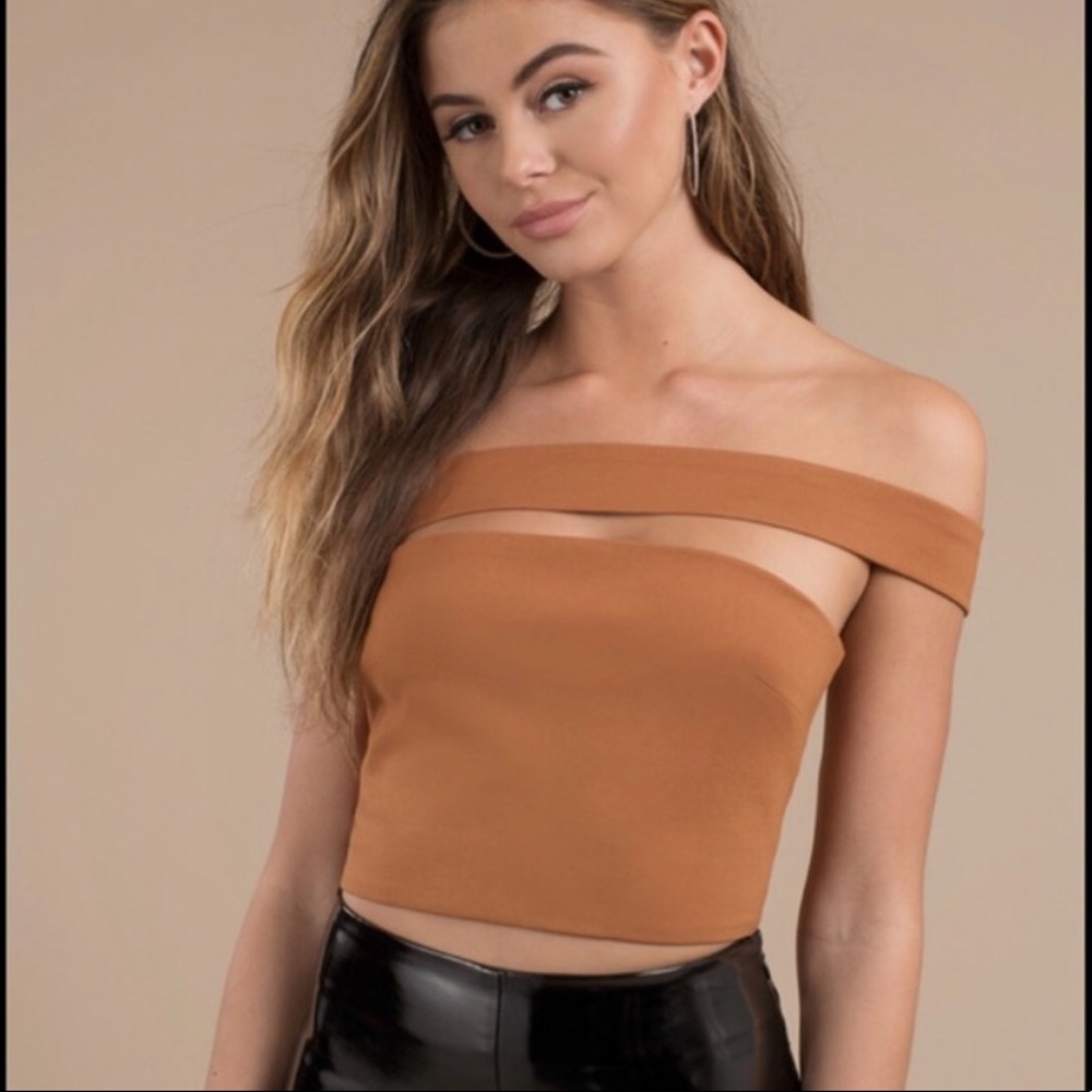Tobi Cropped Off the Shoulder Terra Cotta Top Med